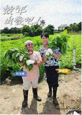 影音先锋婷婷 国产片票房